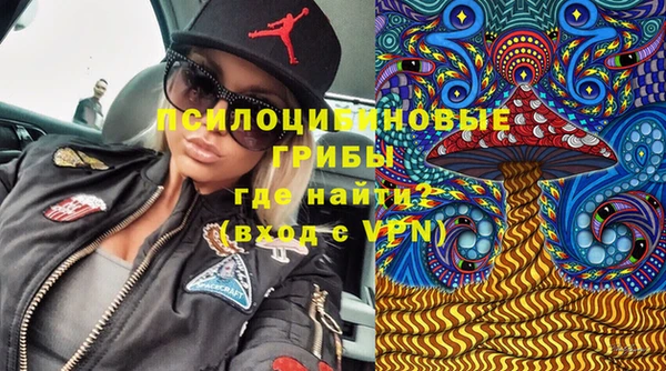 спайс Нея