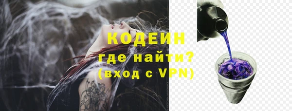 спайс Нея