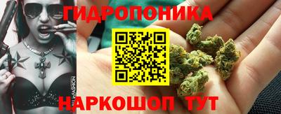 ешки Донецк