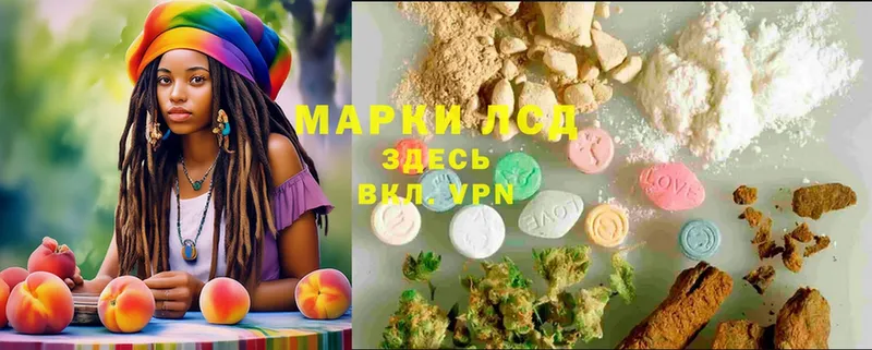 где купить наркотик  Кохма  LSD-25 экстази ecstasy 