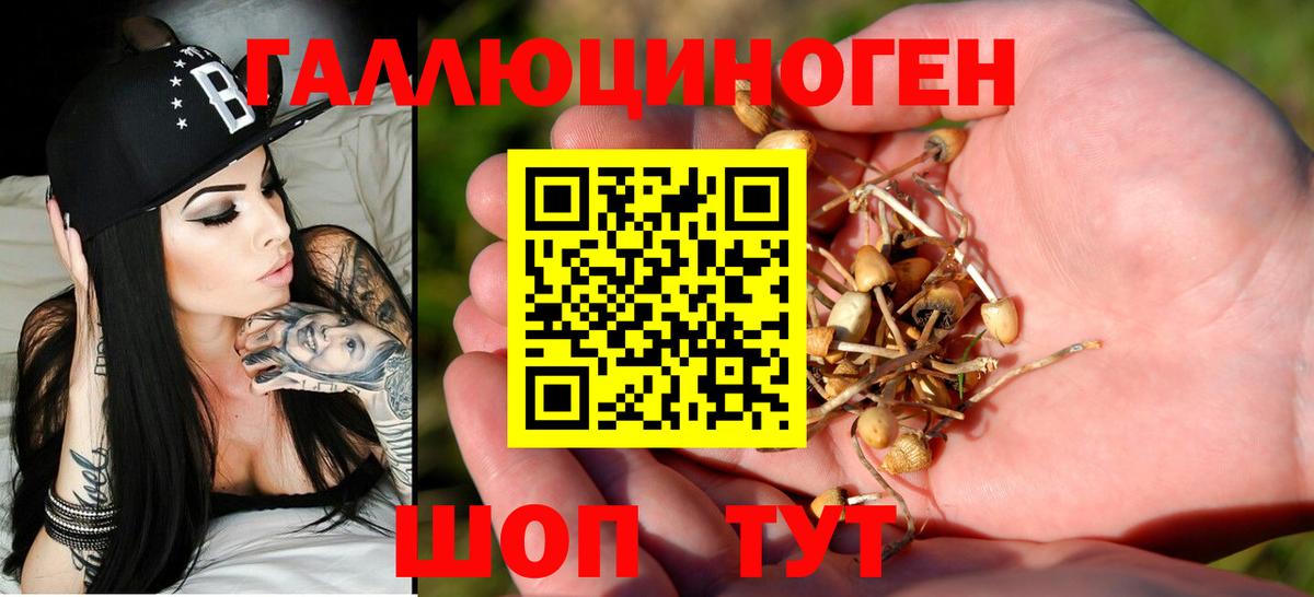 Кохма  Галлюциногенные грибы прущие грибы  Вход с VPN 