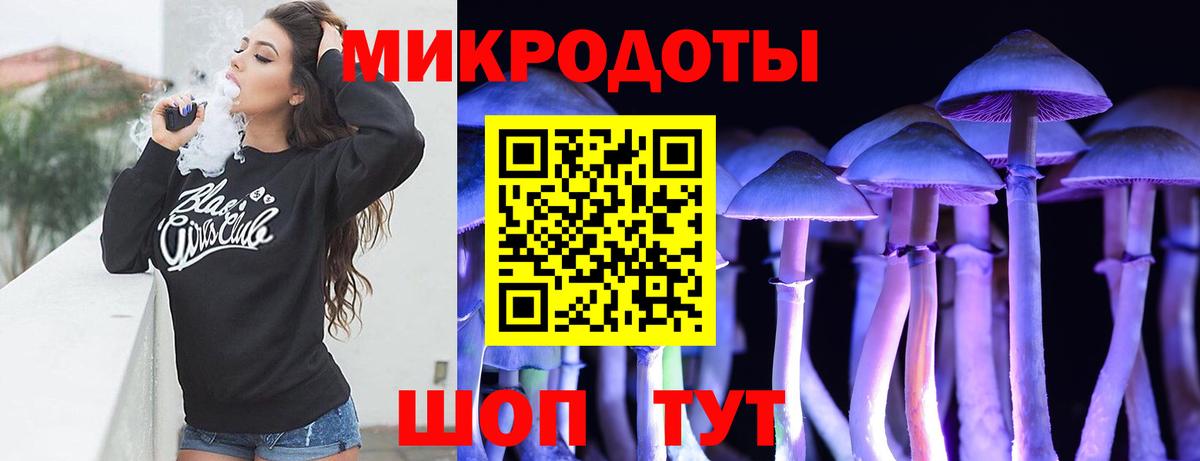 Псилоцибиновые грибы Psilocybine cubensis Кохма